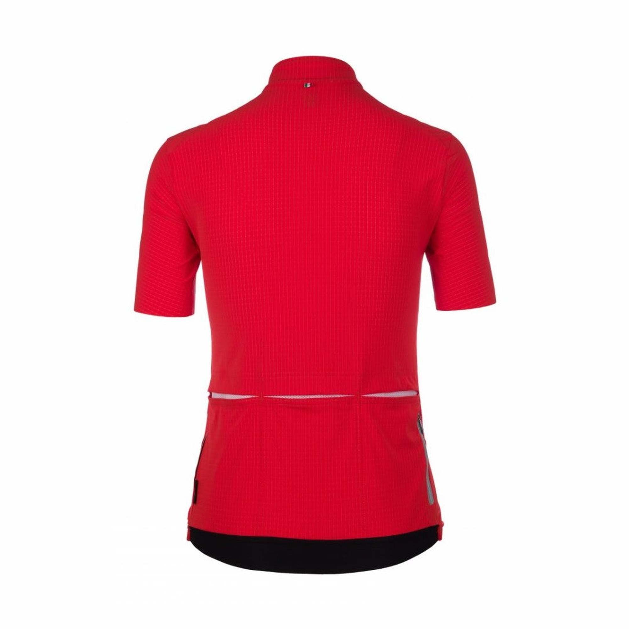 Q36.5 - Lady Jersey Short Sleeve L1 Pinstripe Pro Dames - Rubino