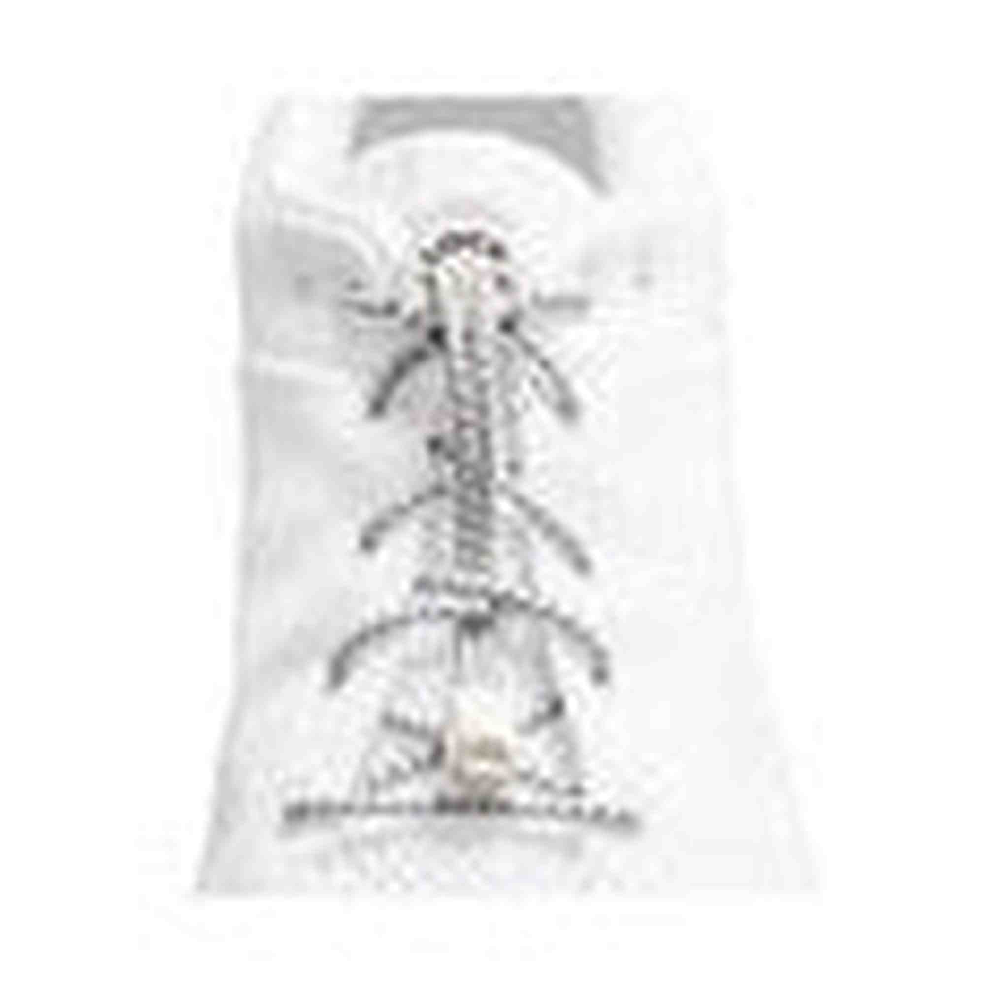 Lock Laces - Lock Laces